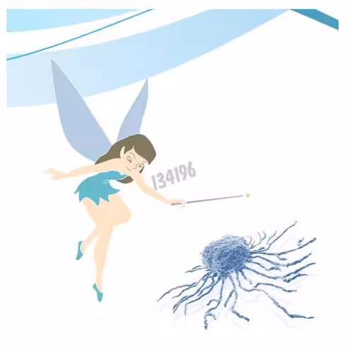 Réactif de transfection dreamfect stem 1 ml