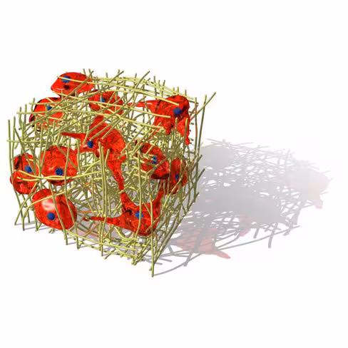 Réactif de transfection 3d fect 250 µl