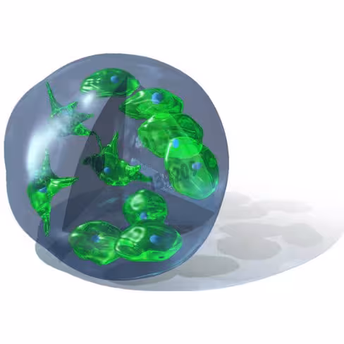 Réactif de transfection 3d fectin 1 ml