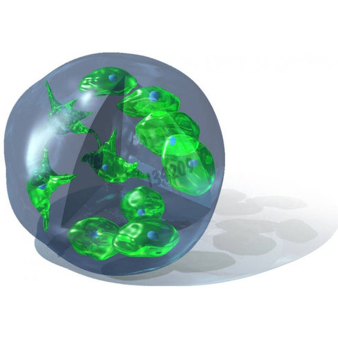 Réactif de transfection 3d fectin 1 ml