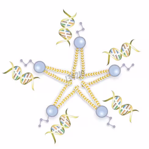 Réactif de transfection verofect 250 µl