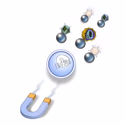 Viromag stem transduction enhancer 100 transductions 1 Kit