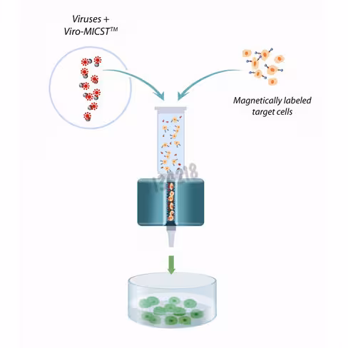 Réactif de transduction viro-micst 1 ml