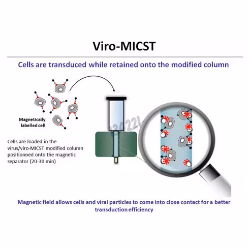 Viromicst stem transduction enhancer 100 transductions 1 Kit