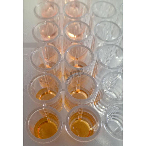 Kit de proliferation cellulaire wst-8 1000 tests 1 Kit