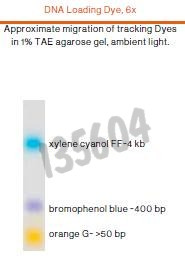 Tampon de charge adn 6x bromophenol xylene cyanol orange 5x1ml
