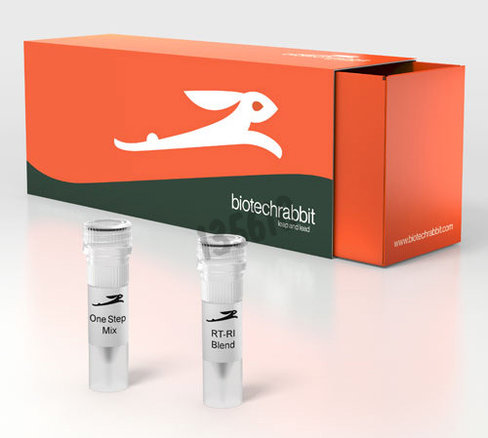 One step rt pcr kit 100 réactions de 50 µl