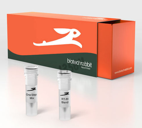 One step rt pcr kit 500 réactions de 50 µl