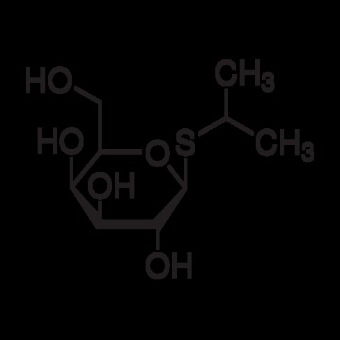 IPTG genomic grade sup à99% 1 g