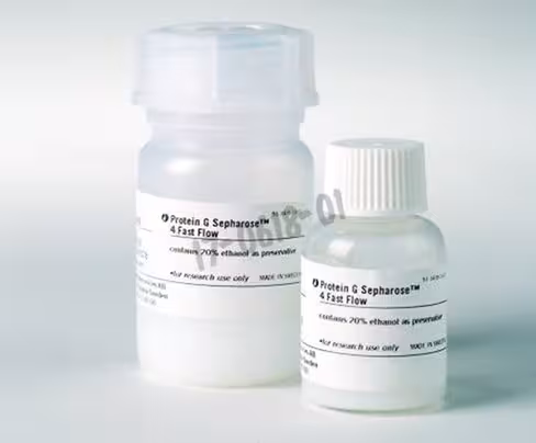 Protein g sepharose 4 fast flow 5 mL