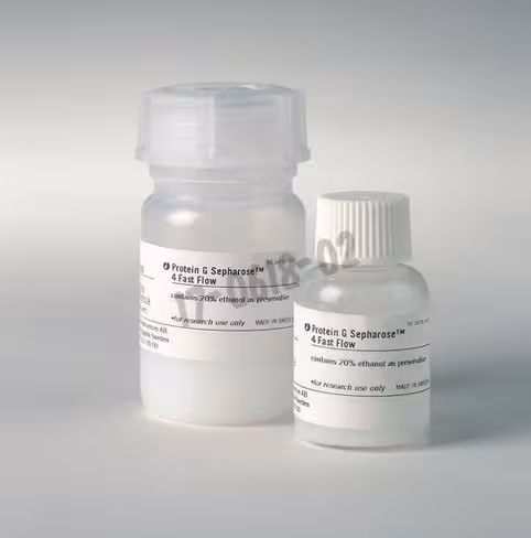 Protein g sepharose 4 fast flow 25 mL
