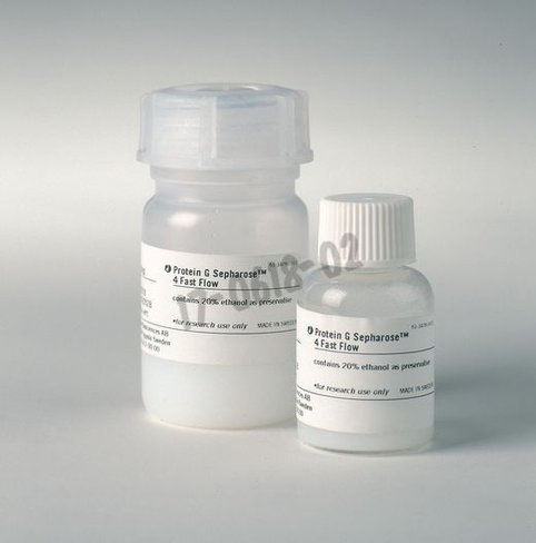 Protein g sepharose 4 fast flow 25 mL