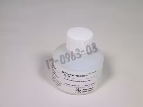 Protein a-sepharose cl-4b 25 ml