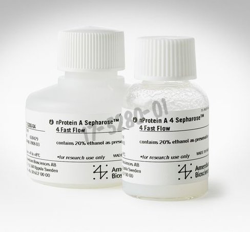Nprotein a sepharose 4 ff 5 mL