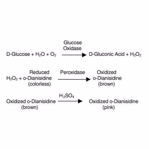 Glucose oxidase sup à100 U/mg 50 KU