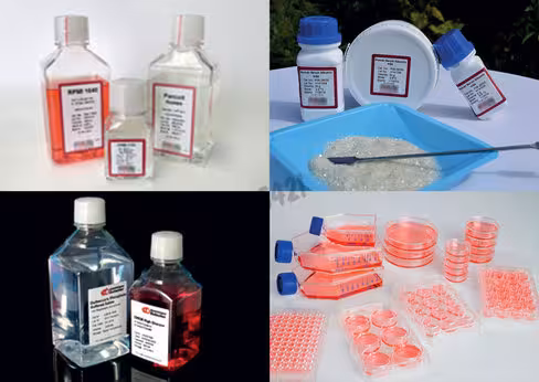 Gelatine selon pharmacopee europeenne 210-230 g bloom 500 g