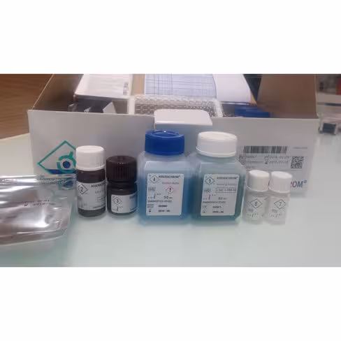 Asserachrom d di 96 tests