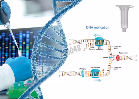 Enzyme de restriction avai 10000 unités