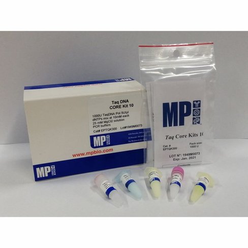 Taq CORE Kit 10 1000+dNTPs unités