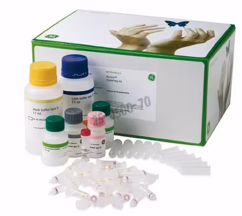 Rnaspin mini (20) kits de purification d arn illustra 20 Réactions