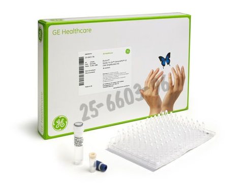 Rtg genomiphi hy kit 96 Réactions