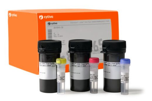 Cydye dige fluor min kit 5 nmol