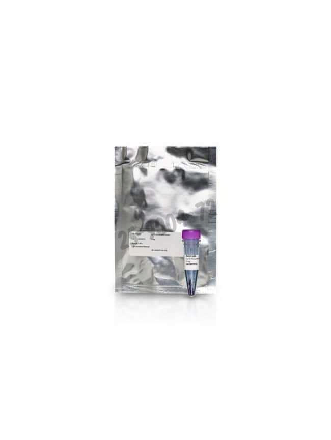 Cy3 nhs ester 150 µg