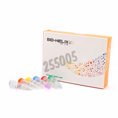 Kit rt-qpcr one step detection covid-19 100 tests