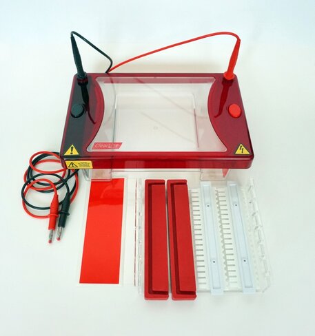 Système d'électrophorèse Clearsub L 15 x 15 cm