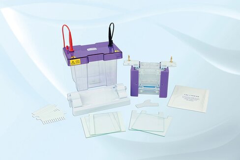 Système d'électrophorèse verticale Omnipage mini complet