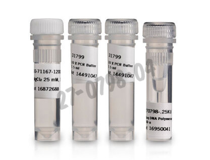 Recombinant taq dna polymerase 250 Unités