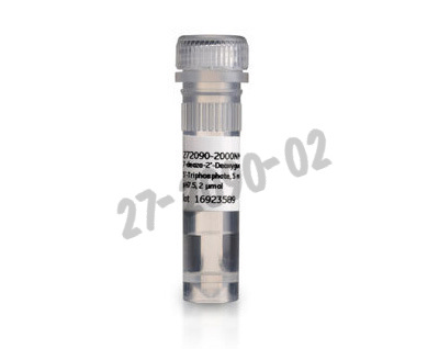 7-deaza-dgtp 2 µm wd 1 pcs