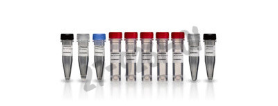 First-strand cdna synthesis kit 1 pcs