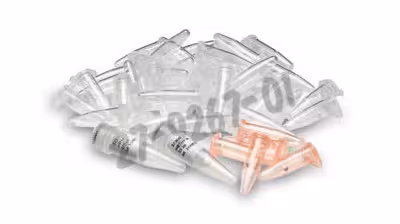 Rtg rt-pcr beads 0.2 ml billes pcr illustra ready-to-go 1 pcs