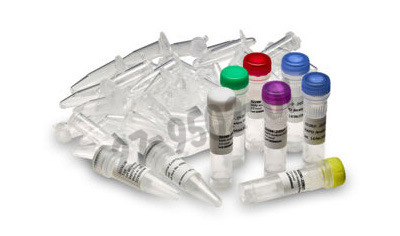 Ready-to-go rapd analysis kit 100 Tests