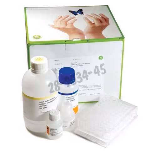 Gfx 96 pcr purif kit 10 x 96 Réactions