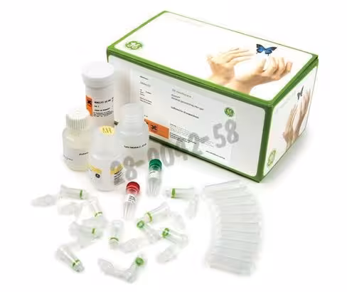Illustra bacteria mini spin 50 kits de purification d adn illustra 50 Réactions