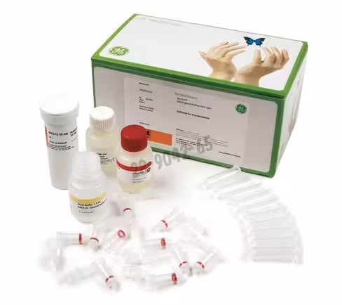 Illustra blood mini (250) kits de purification d adn illustra 250 Réactions