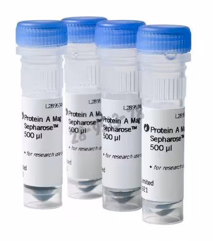 Protein a mag sepharose 4 x 500 µl