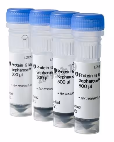 Protein g mag sepharose 4 x 500 µl