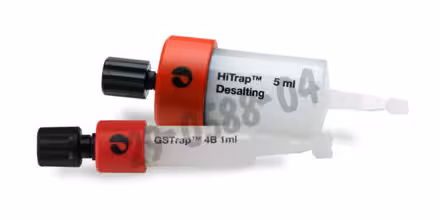 Tagged package gst contains 29048609/29048684 1 KIT