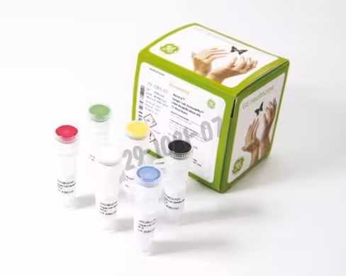 Kit single cell genomiphi 25 Réactions