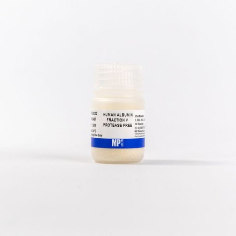 Albumin human 10 g