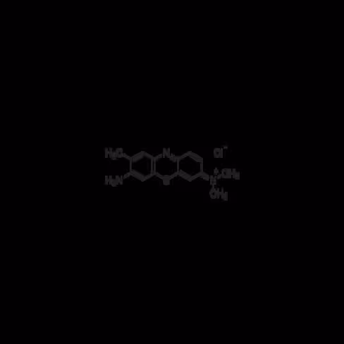 Toluidine blue O 25 g