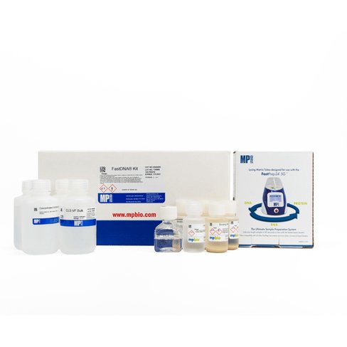 FastDNA Kit 100 preps