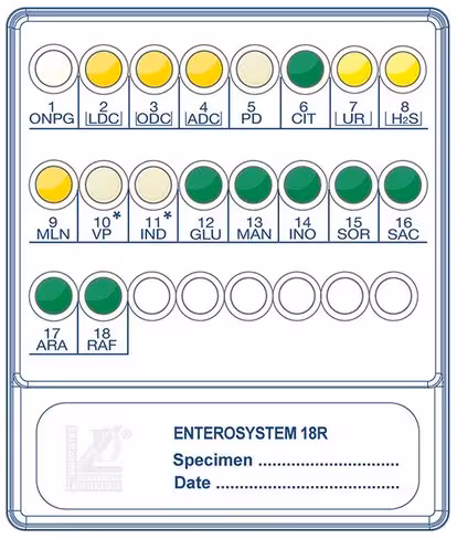 Galerie identification entersystem 18r 20 pcs