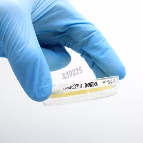 Gelose TSA + neutralisants btes contact irradiees