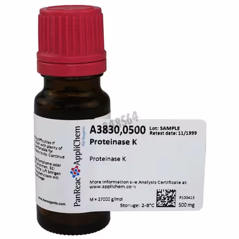 Protéinase k 500 mg