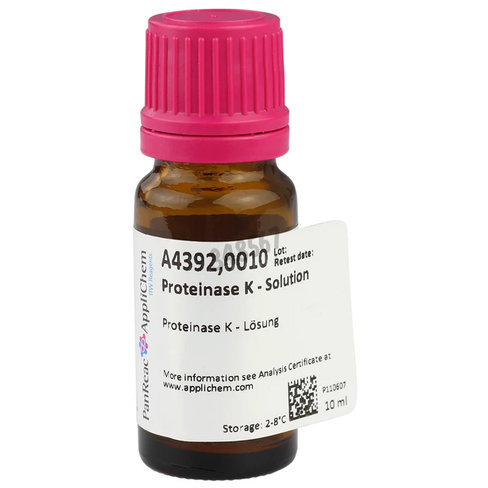 Protéinase k - solution 10 ml