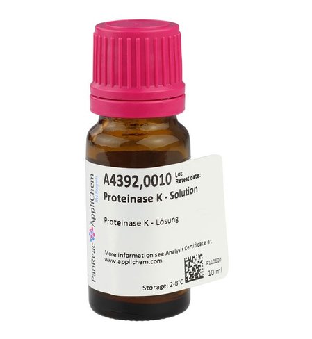 Protéinase k - solution 5 ml